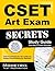 CSET Art Exam Secrets Study Guide: CSET Test Review for the California Subject Examinations for Teachers (Mometrix Secrets Study Guides)