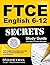 FTCE English 6-12 Secrets S...