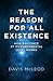The Reason for all Existence: How Existence At Its Fundamental Level Works