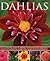 Dahlias by Ted Collins