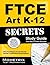 FTCE Art K-12 Secrets Study...
