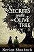 Secrets Under the Olive Tree