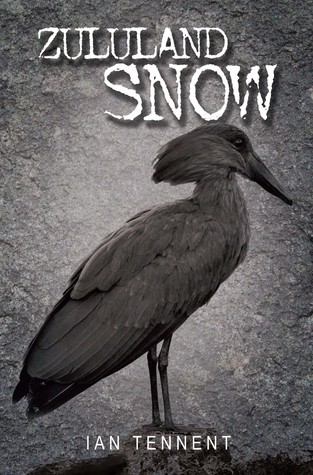 Zululand Snow (Kindle Edition)