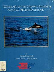 Cetaceans of the Channel Islands National Marine Sanctuary