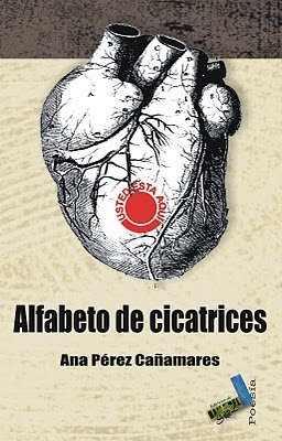 Alfabeto de cicatrices (Paperback)