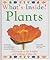 Plants (What's Inside?)