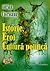 Istorie eroi cultură politică