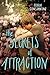 The Secrets of Attraction