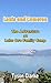 Louis and Cameron: The Adventure at Lake Oro Family Camp (Book 1)