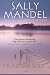 Heart and Soul by Sally Mandel