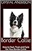 Border Collie: How to Own, ...