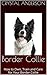Border Collie: How to Own, Train and Care for Your Border Collie