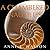 A Chambered Nautilus