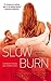 Slow Burn (Driven, #5)