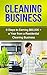 Cleaning Business by Heather Madison