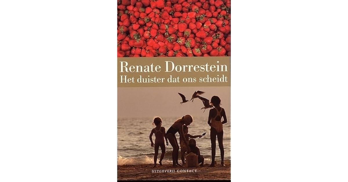 Het duister dat ons scheidt by Renate Dorrestein
