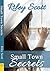 Small Town Secrets