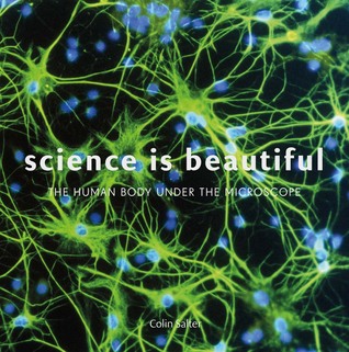 Science Is Beautiful: The Human Body Under the Microscope (Hardcover)