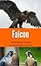Falcon: A Bird Book for Kids