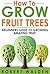 How to Grow Fruit Trees – Beginners Guide to Growing Amazing Fruit