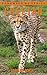 Cheetah: Amazing Photos & Fun Facts Book About Cheetahs For Kids (Remember Me Series)