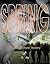 Spring Rite (Ryan Kincaid M...