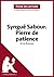 Syngué Sabour. Pierre de patience d'Atiq Rahimi (Analyse de l'oeuvre): Analyse complète et résumé détaillé de l'oeuvre (Fiche de lecture) (French Edition)