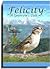 Felicity ~ A Sparrow's Tale...