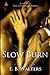 Slow Burn (The Fitzgerald Family, #1)