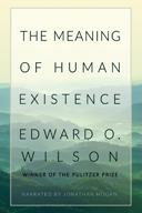 The Meaning of Human Existence
