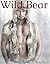 Wild Bear