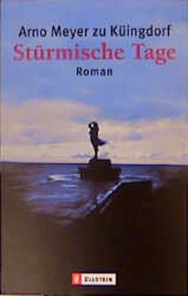 Stürmische Tage : Roman
