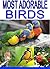 Most Adorable Birds
