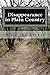 Disappearance in Plain Country (Beatrice Chandler Mystery Series Book 1)