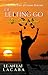 Of Letting Go (Less Than Three, #3)