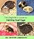 The Beginner's Guide to Hatching Quail Eggs