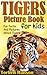 Tigers Picture Book for Kids