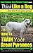 Great Pyrenees, Great Pyrenees Training AAA AKC: Think Like a Dog, But Don’t Eat Your Poop! | Great Pyrenees Breed Expert Training |: Here's EXACTLY How to TRAIN Your Great Pyrenees