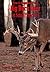 How To Hunt and Take Big Buck Deer on Small Properties