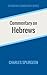 Commentary on Hebrews (Spurgeon Commentary Series)