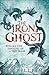 The Iron Ghost (The Copper ...