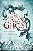 The Iron Ghost (The Copper Cat, #2)