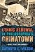 Ethnic Renewal in Philadelphia's Chinatown: Space, Place, and Struggle (Urban Life, Landscape and Policy)