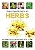 Herbs (Ultimate Guides)
