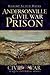 Andersonville Civil War Prison by Robert Scott Davis