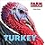 Turkey (Farm Animals)