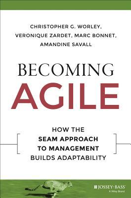 Becoming Agile: How the Seam Approach to Management Builds Adaptability