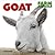 Goat (Farm Animals)