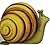 Little Snail (Mini-Creatures Books)