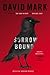 Sorrow Bound (DS McAvoy #3)